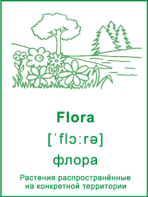 Карточка «Природа». Флора. Елки, дерево, цветы и трава.