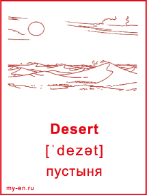 Карточка «Природа». Пустыня.