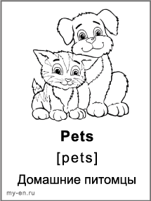 Черно-белая карточка домашние питомцы, собака и кошка.