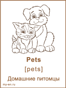 Карточка домашние питомцы, собака и кошка.