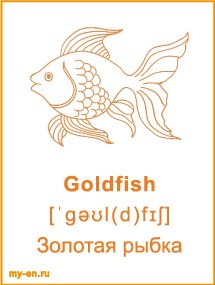 Карточка - золотая рыбка.