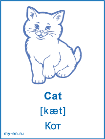 Схема слова котик