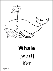 Черно-белая карточка - кит .