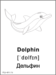 Черно-белая карточка - дельфин.