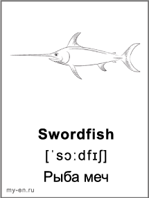 Черно-белая карточка - рыба меч.
