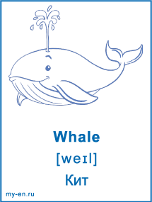 Карточка - кит .