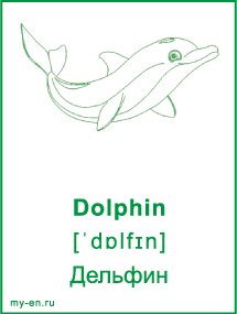 Карточка - дельфин.