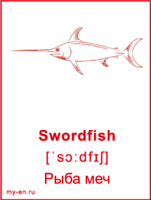 Карточка - рыба меч.