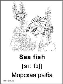 Карточка морская рыба.
