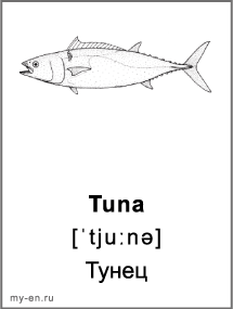 Карточка - тунец.