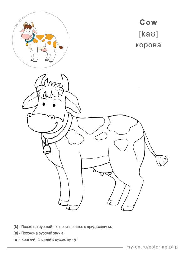 Раскраска корова с колокольчиком