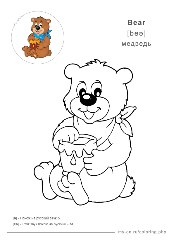 Рисунок для раскрашивания, медведь с медом