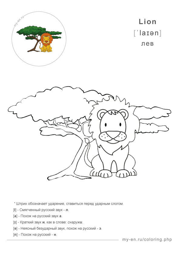 Лев на фоне дерева, рисунок для раскрашивания